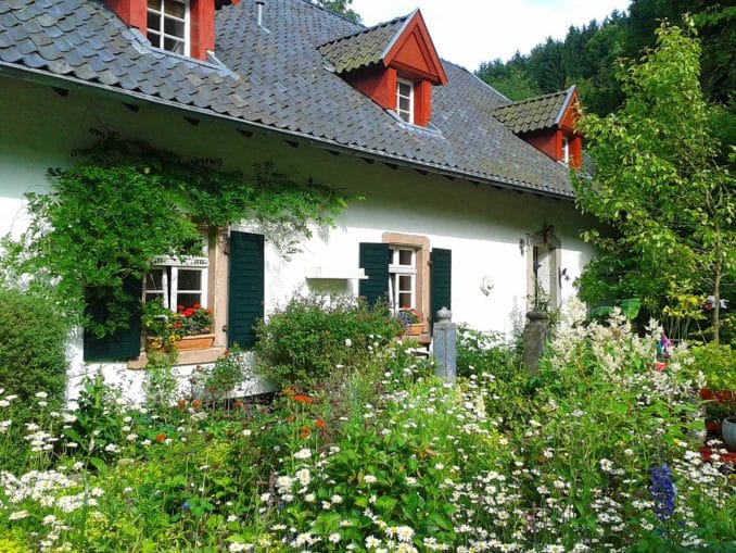 🥇 Haus Garten Magazin 🥇 Haus Garten Magazin