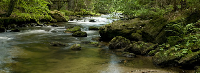 Mittelgebirgsbach im Nationalpark Bayerischer Wald, Foto: Uwe Reißenweber