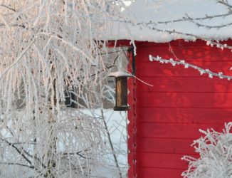 Garten im Winter