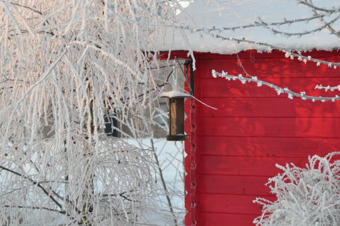 Garten im Winter