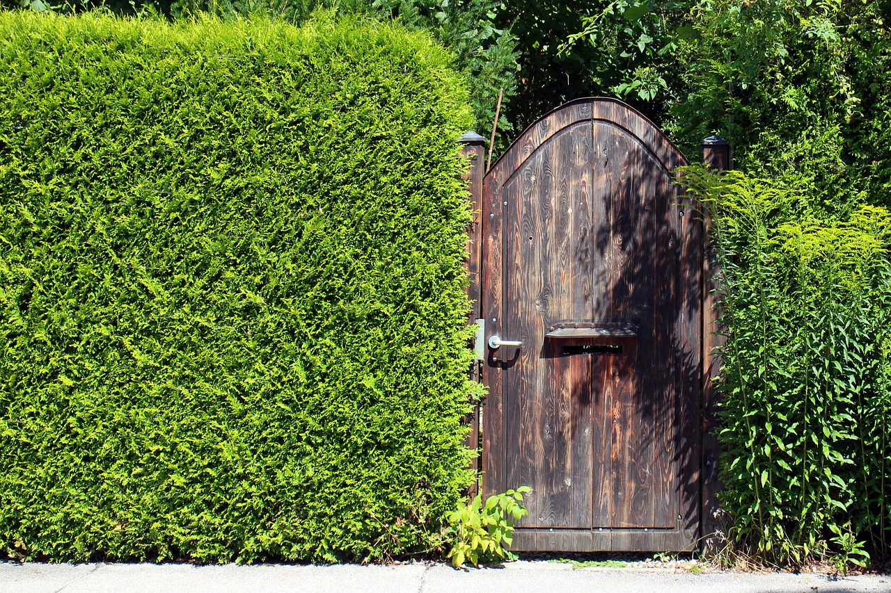 Sichtschutzhecke im Garten