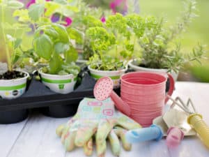 Garten Ratgeber - Vorbereitungen im Frühling