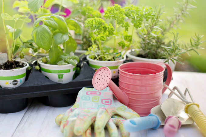 Garten Ratgeber - Vorbereitungen im Frühling