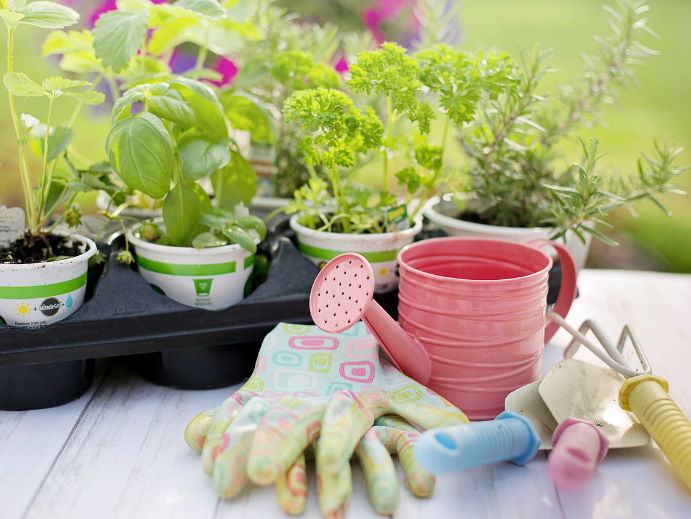 Garten Ratgeber – Vorbereitungen im Frühling