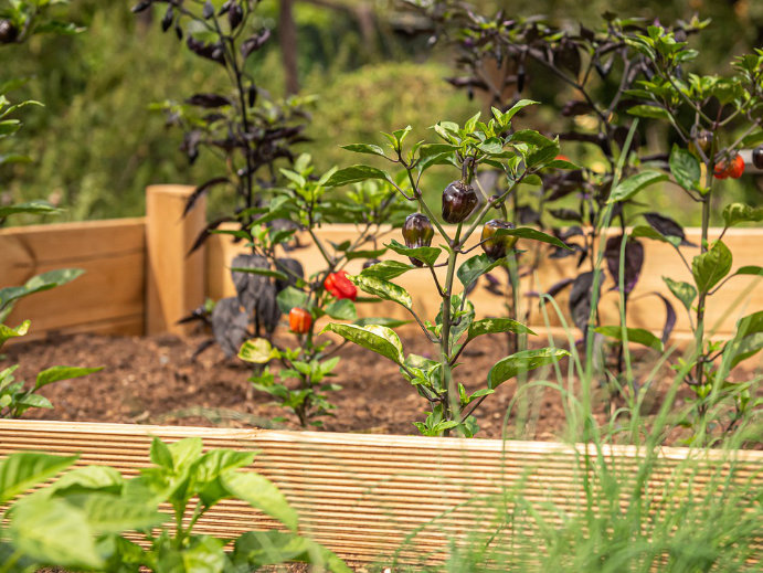 Hochbeet fuer den Garten