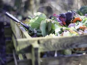 Wie Sie Küchen- und Gartenabfälle richtig kompostieren