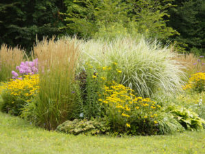 Stauden im Garten