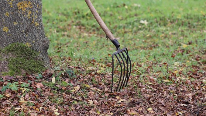 Garten Unfall Garten Unfall