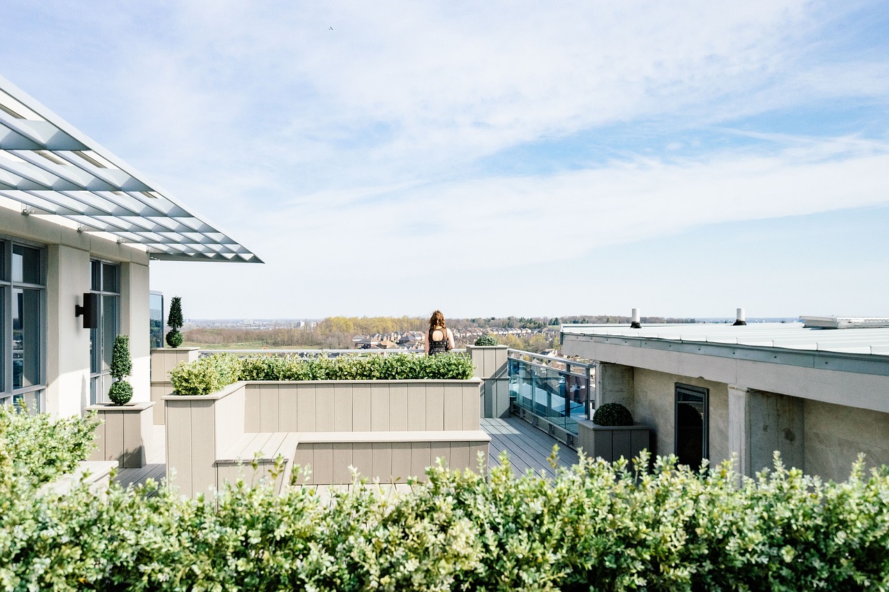 Dachterrasse mit Pflanzen