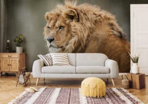 Fototapete mit Löwe – Dekoration mit Biss in Ihrem Zuhause