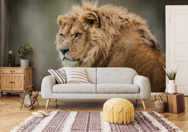 Fototapete Löwe Nahaufnahme im Wohnzimmer