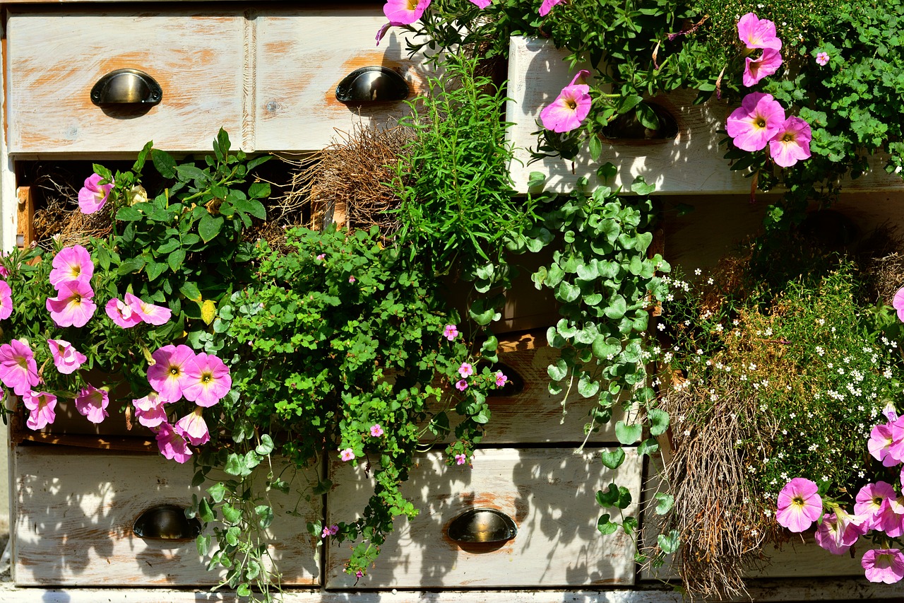So wird Ihr Garten zum Hingucker! Petunien