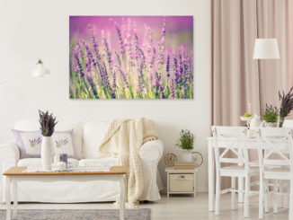 Provenzalisches Wohnzimmer mit Bild Lavendel