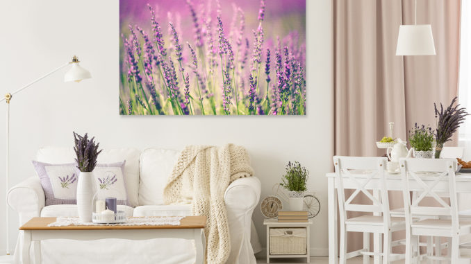 Provenzalisches Wohnzimmer mit Bild Lavendel