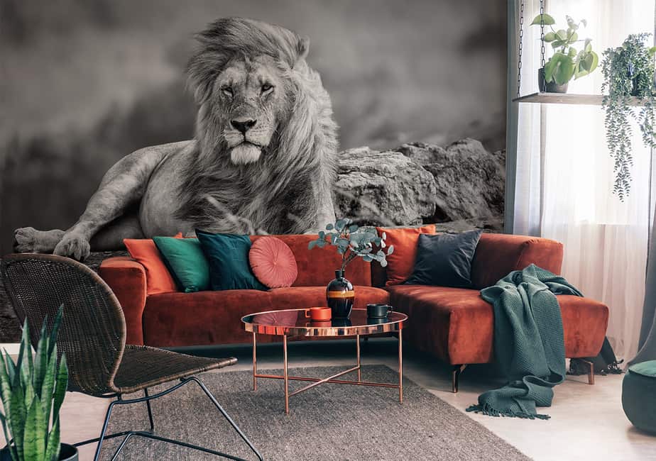 Schwarz-weiße Fototapete mit majestätischem Löwe im Wohnzimmer