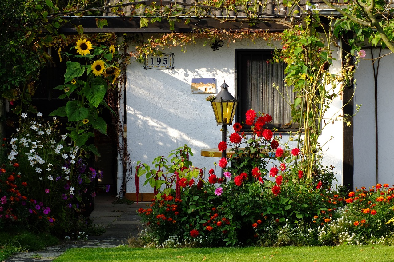 Blumen im Garten