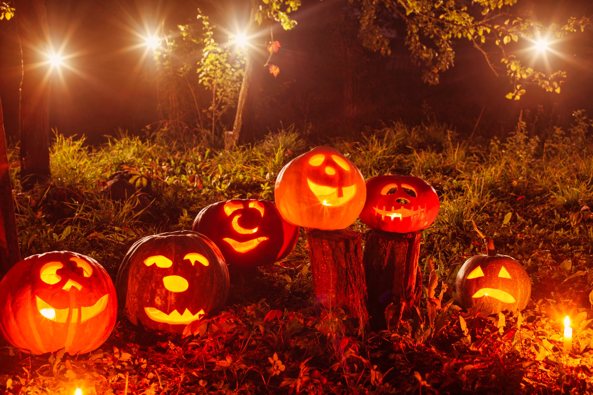 Halloween-Deko: 3 Ideen für draußen Helloween im Garten ©Kruchenkova/depositphotos.com