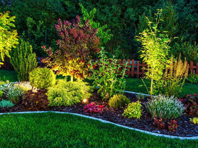 Licht im Garten / ©welcomia/depositphotos.com Licht im Garten / ©welcomia/depositphotos.com
