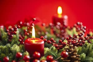 Weihnachtliche Pflanzen 🎄 Die perfekte Dekoration für die Adventszeit
