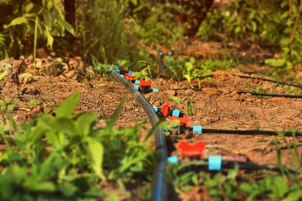 Automatische Bewässerungssysteme für den Garten im Urlaub Tropfbewässerungssystem