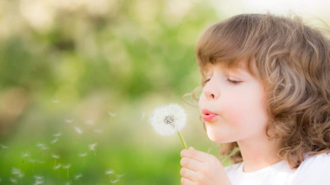 Kind mit Pusteblume Kind mit Pusteblume