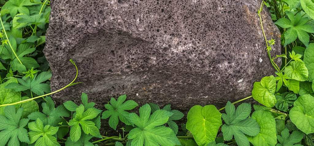 Naturstein im Garten – die schönsten Gestaltungsmöglichkeiten für den Außenbereich Grober Basaltstein im Garten