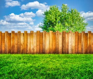 Holz-Sichtschutz selbst bauen: So leicht geht es