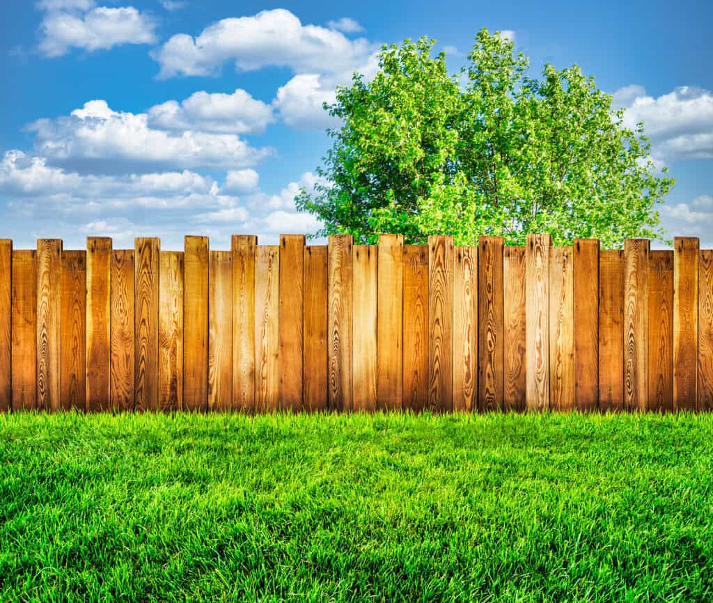 30+ Holz Sichtschutz Selber Bauen, Wer den sichtschutz lebendig