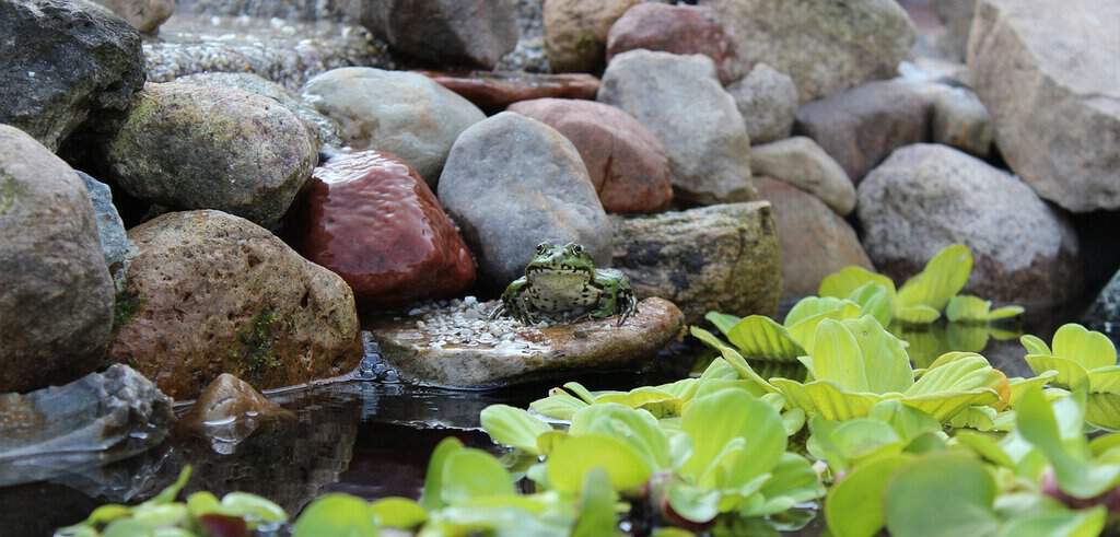 Steine im Gartenteich