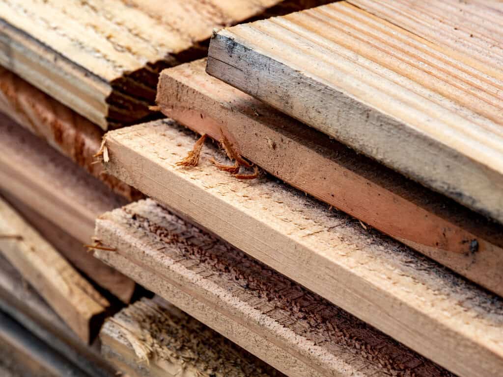 Holz-Sichtschutz selbst bauen: So leicht geht es Unbehandeltes Douglasie Holz