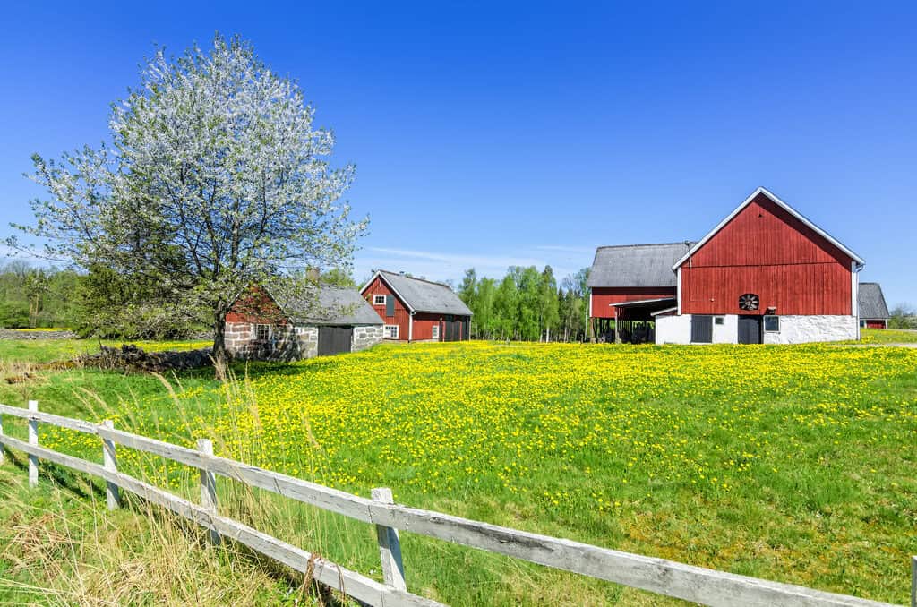 Bauernhof in Schweden