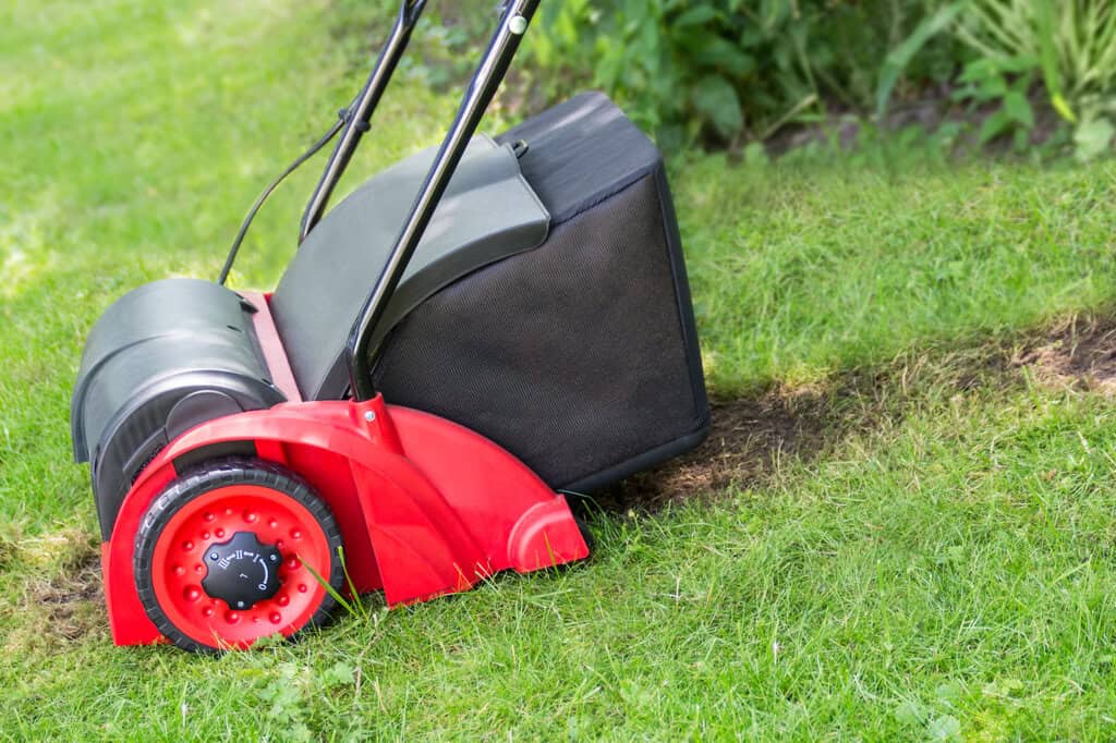 Effektiver Einsatz des Vertikutierers: Tipps und wichtige Hinweise Vertikutierer im Gras