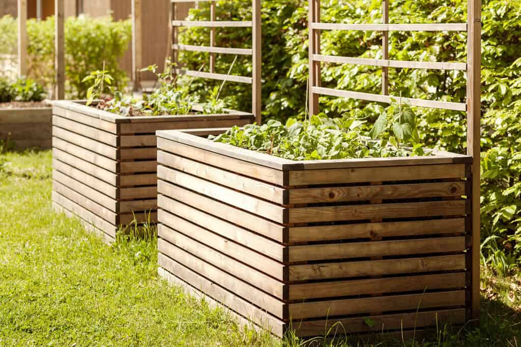 Der Hitze trotzen: Genießen Sie den Sommer mit Gartenprojekten Hochbeet anlegen