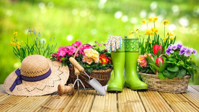 Sommer im Garten