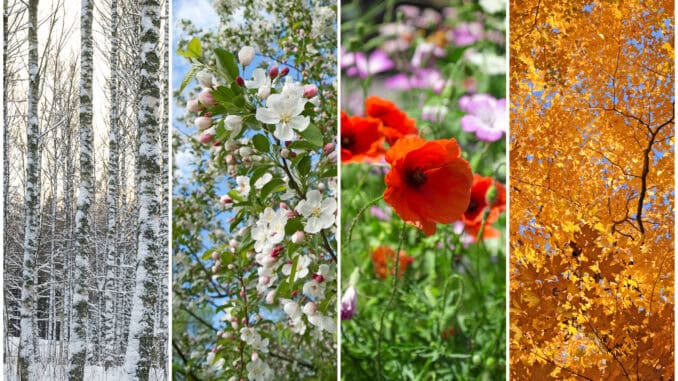 4 Jahreszeiten im Garten 4 Jahreszeiten im Garten