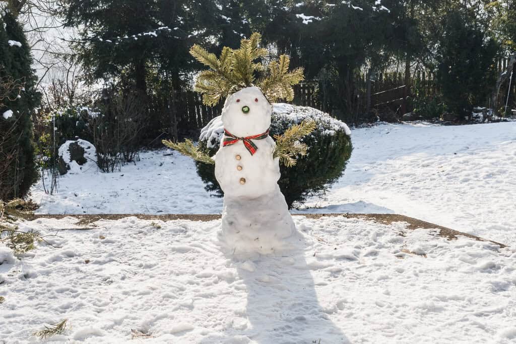 Schneemann im Garten