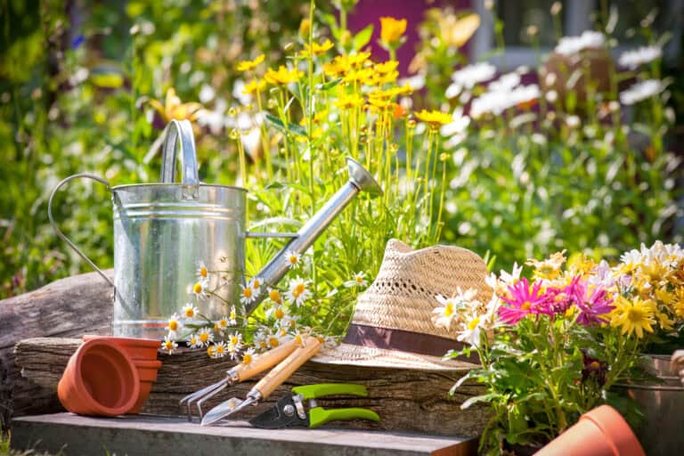 Blühender Garten im eigenen zu Hause